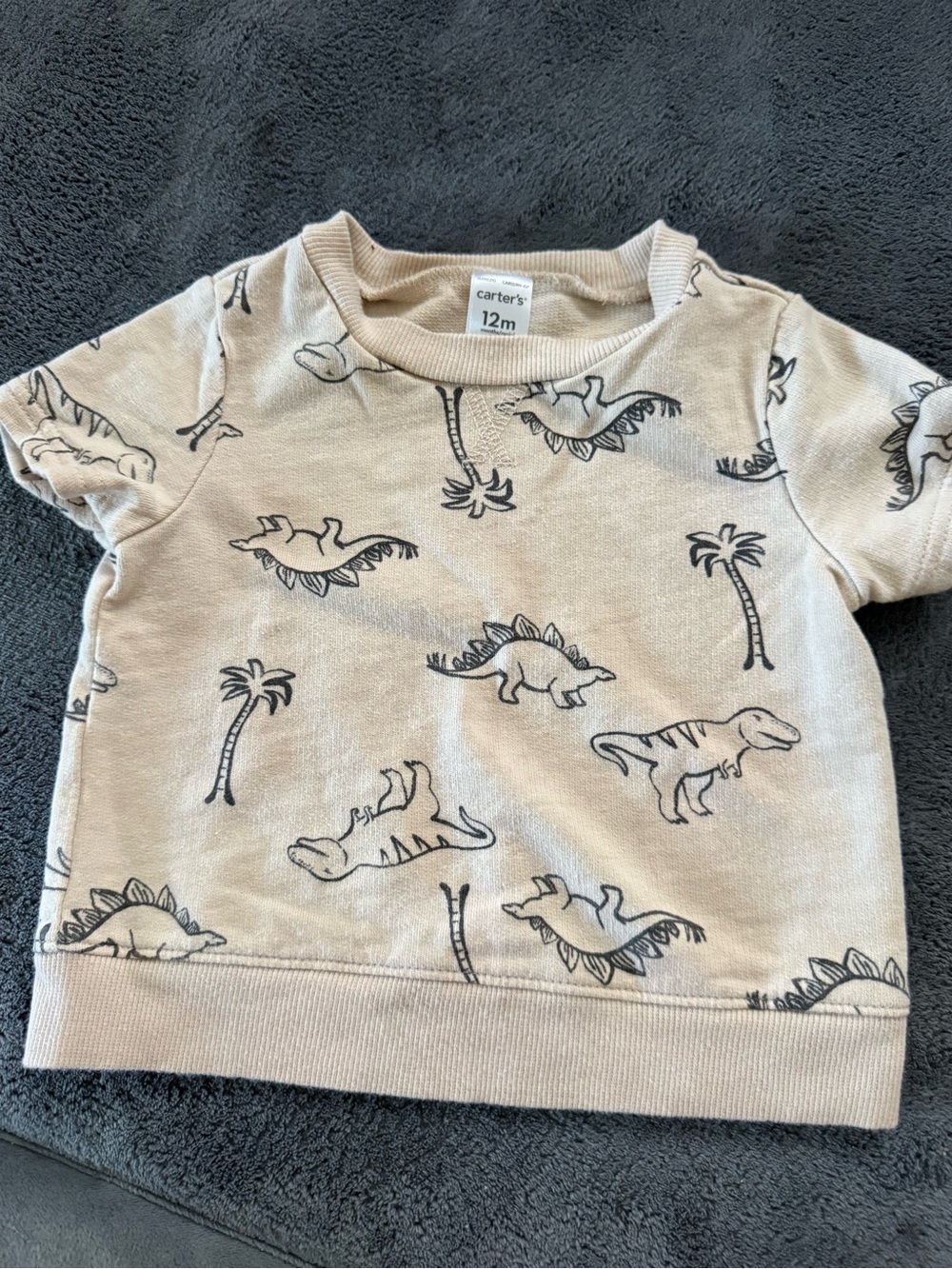 Carter's Beige Short Sleeve Dino Sweatshirt with Navy Print